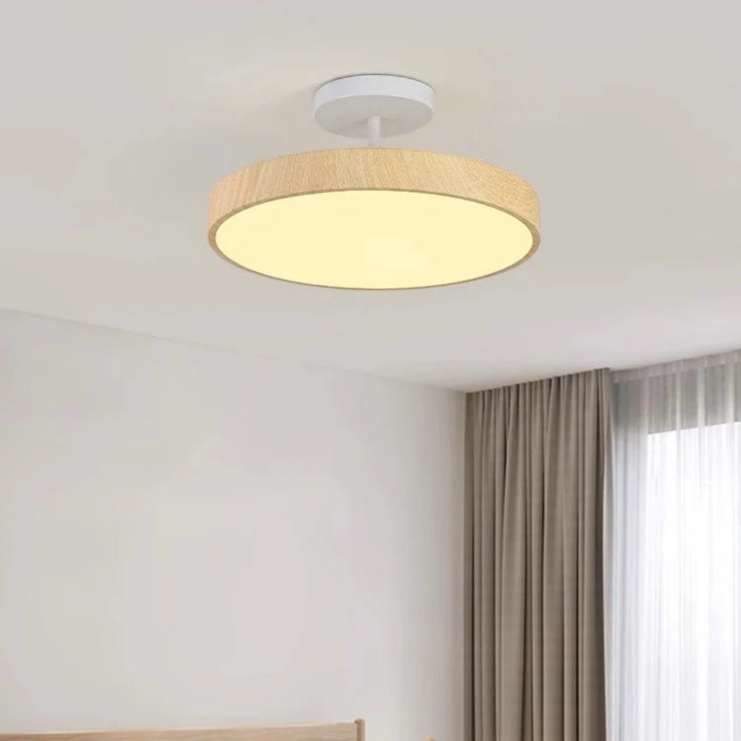 Contemporary Round Ceiling Light