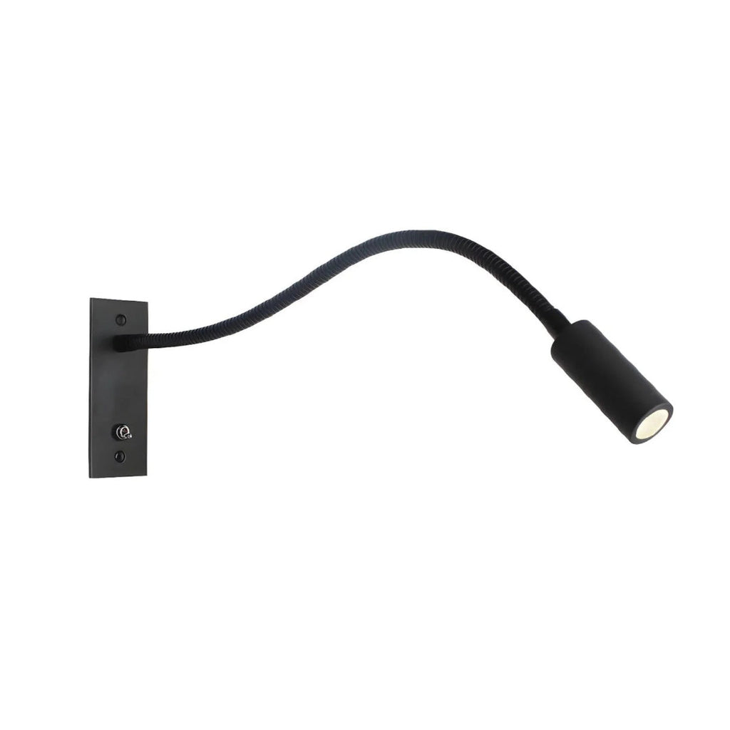 Adjustable Gooseneck Wall Lamp