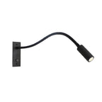 Adjustable Gooseneck Wall Lamp