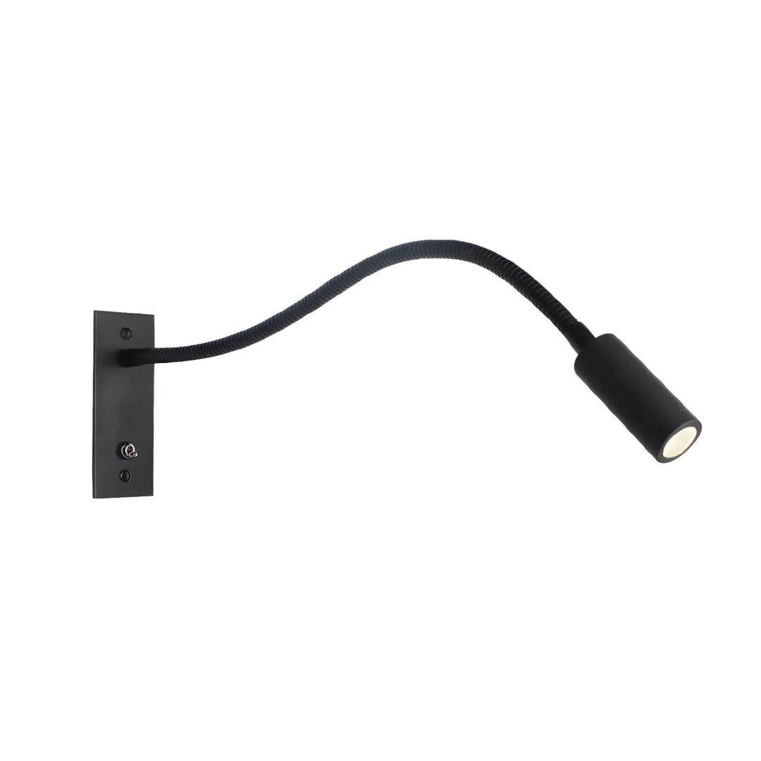 Adjustable Gooseneck Wall Lamp