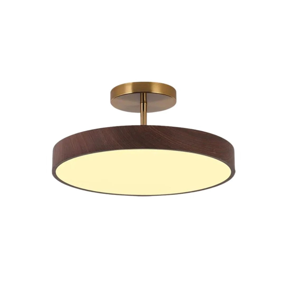 Contemporary Round Ceiling Light