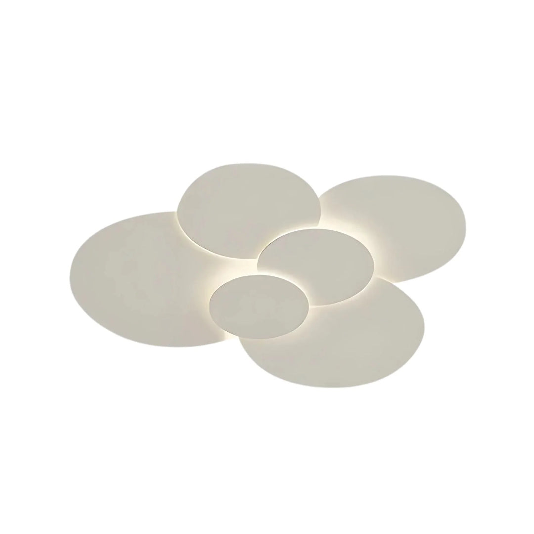 Contemporary Multi Disc LED Ceiling Light