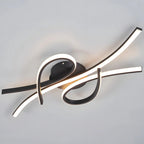 Contemporary LED Ceiling Light