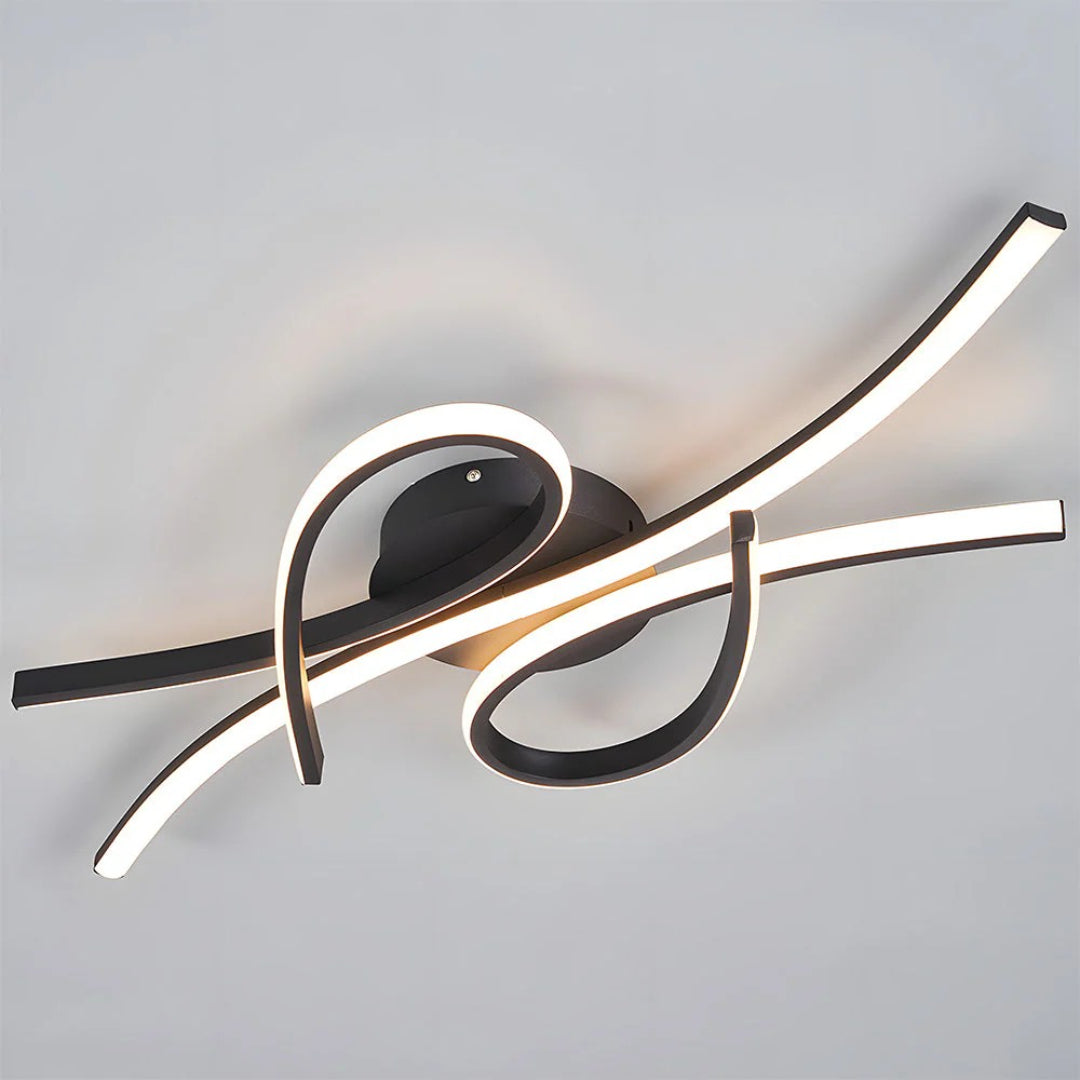Contemporary LED Ceiling Light