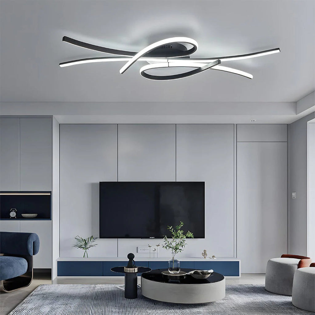 Contemporary LED Ceiling Light