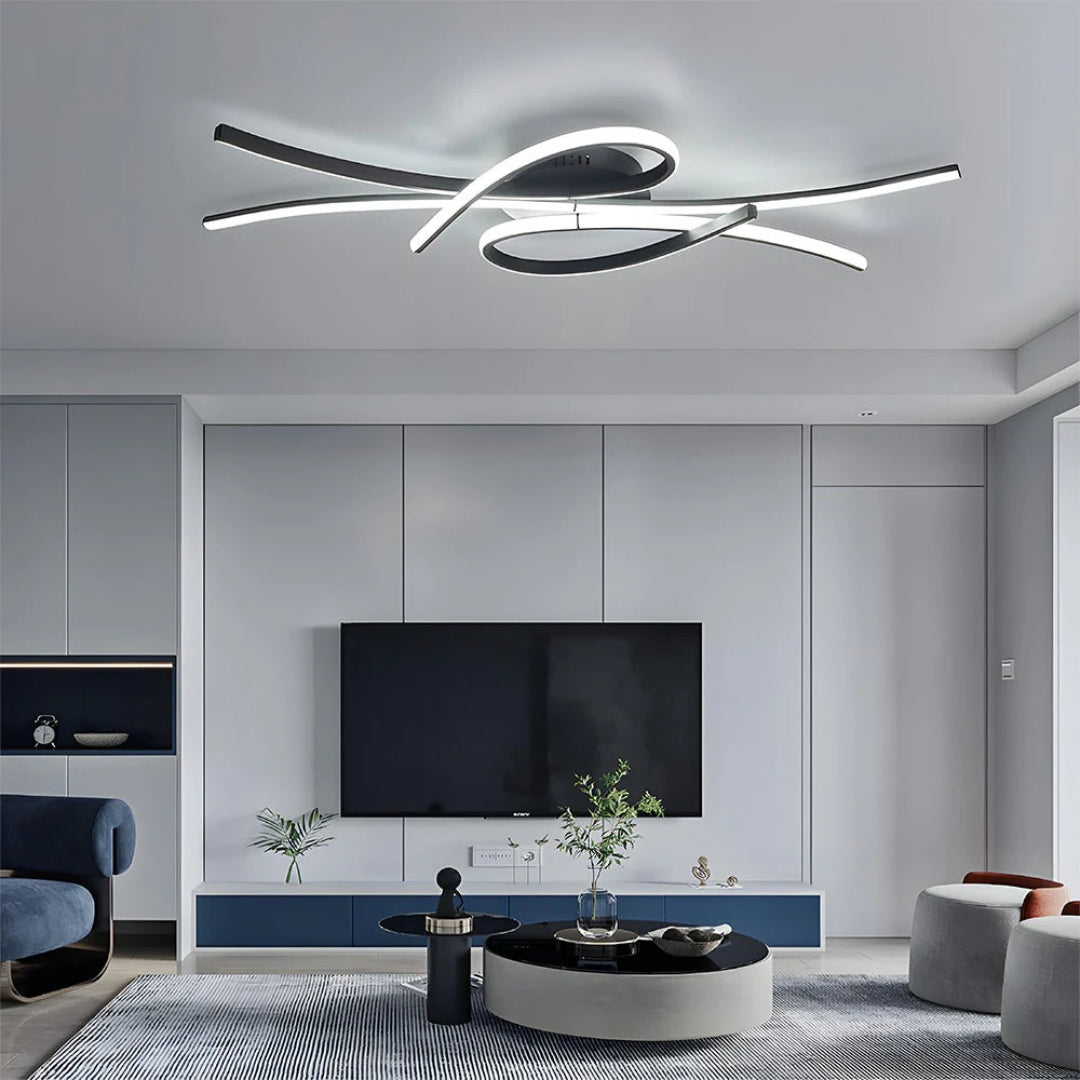 Contemporary LED Ceiling Light