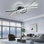 Contemporary LED Ceiling Light