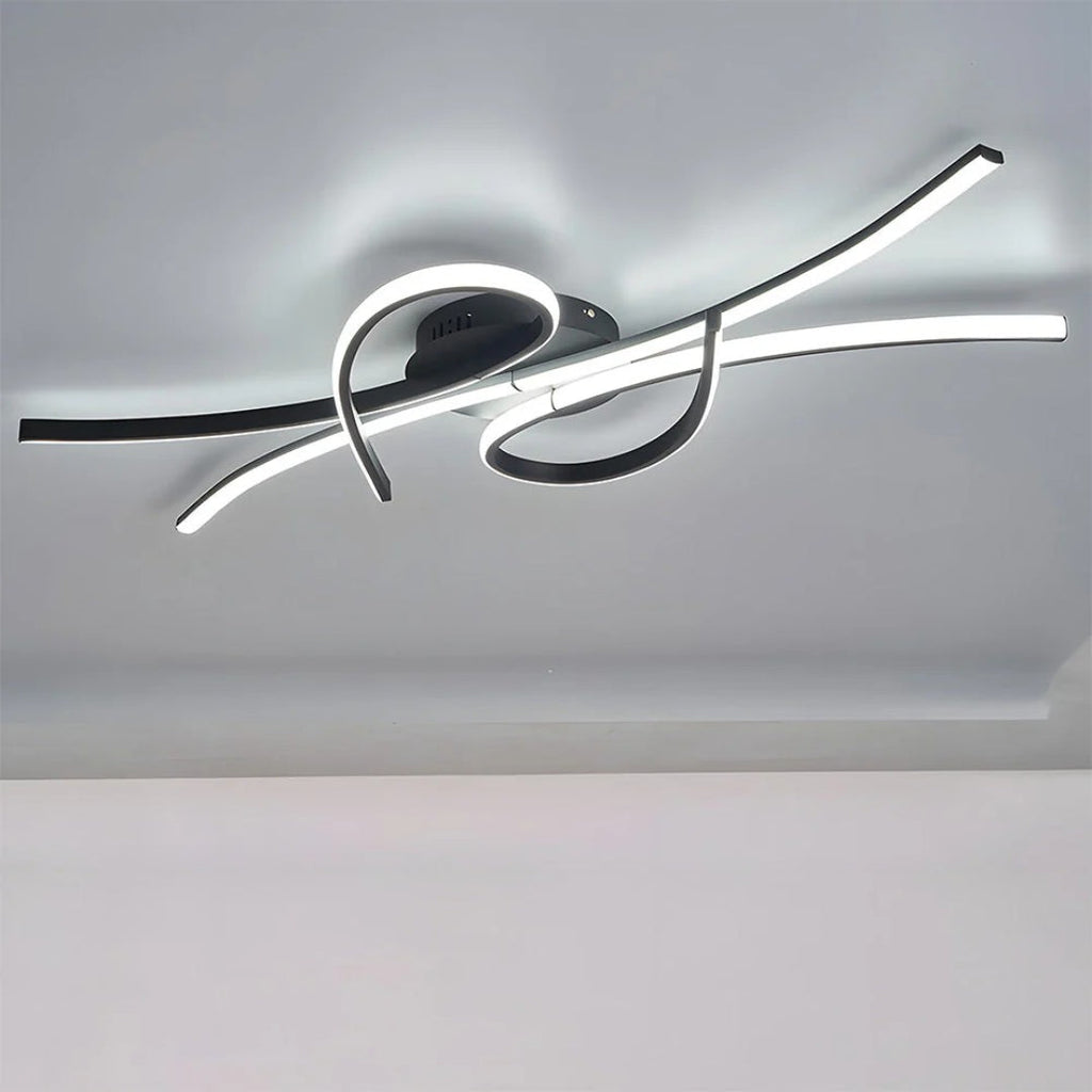 Contemporary LED Ceiling Light