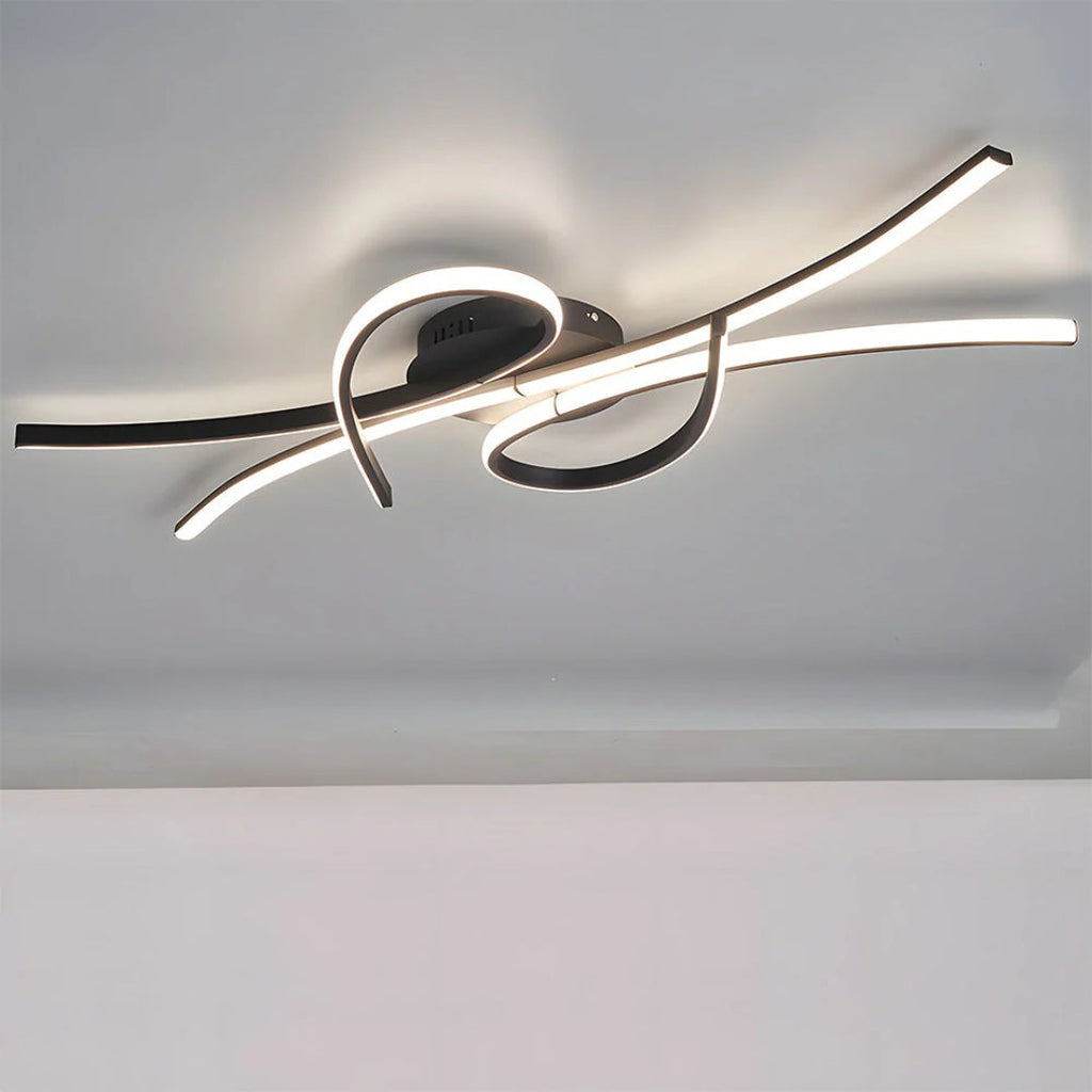 Contemporary LED Ceiling Light