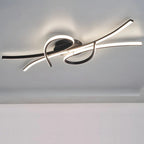 Contemporary LED Ceiling Light