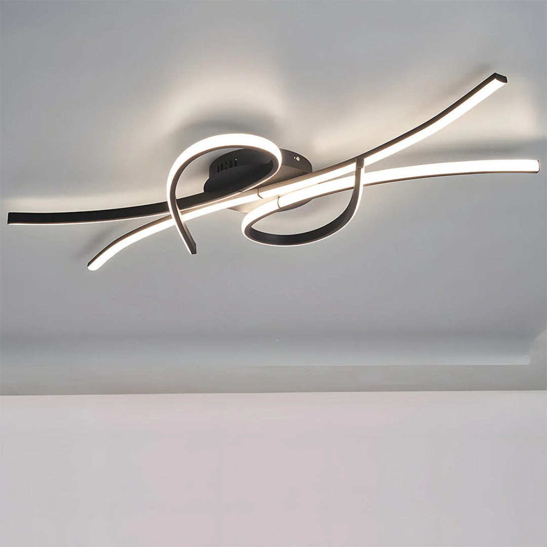 Contemporary LED Ceiling Light