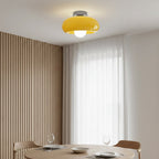 Vintage Glass Shade Ceiling Light