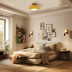 Vintage Glass Shade Ceiling Light