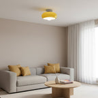 Vintage Glass Shade Ceiling Light
