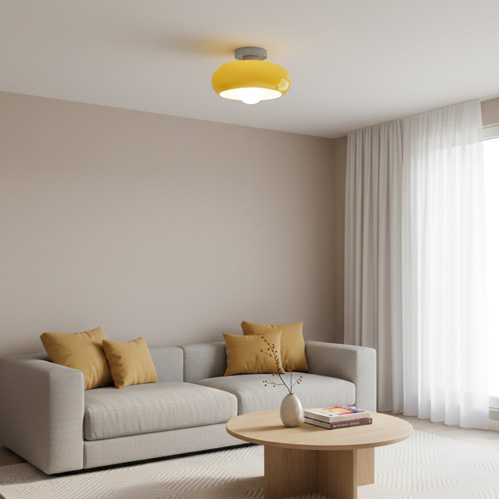 Vintage Glass Shade Ceiling Light