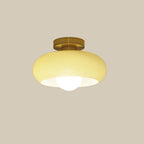 Vintage Glass Shade Ceiling Light