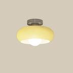 Vintage Glass Shade Ceiling Light
