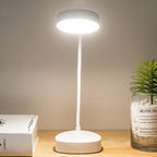 Adjustable LED Desk Lamp