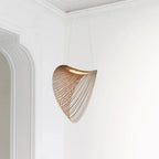 Minimalist Curved Wooden Pendant Light