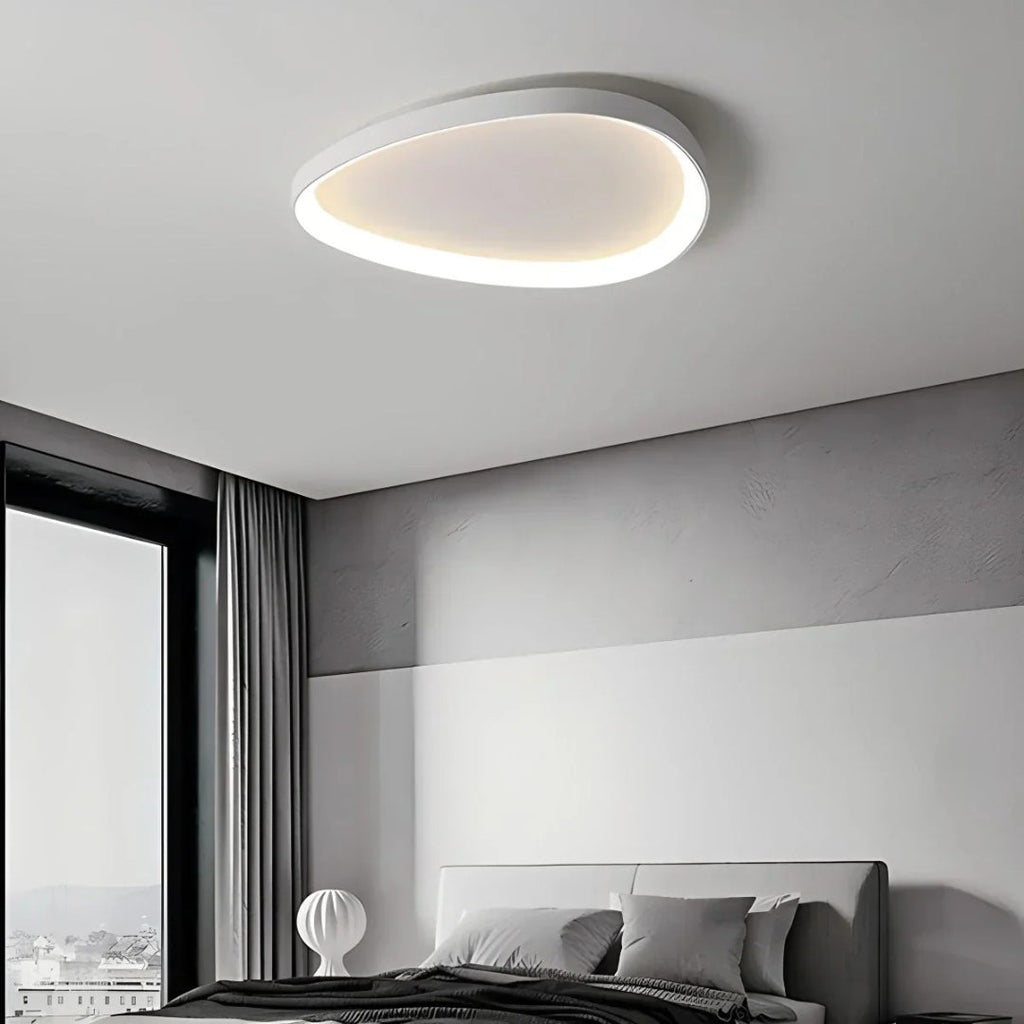 Minimalist Oval LED Ceiling Light