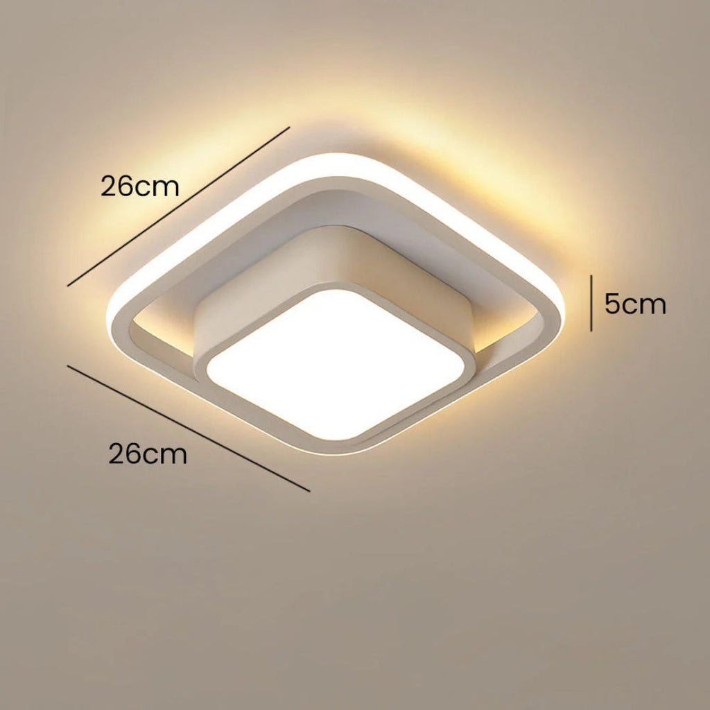Contemporary Double Ring Ceiling Light