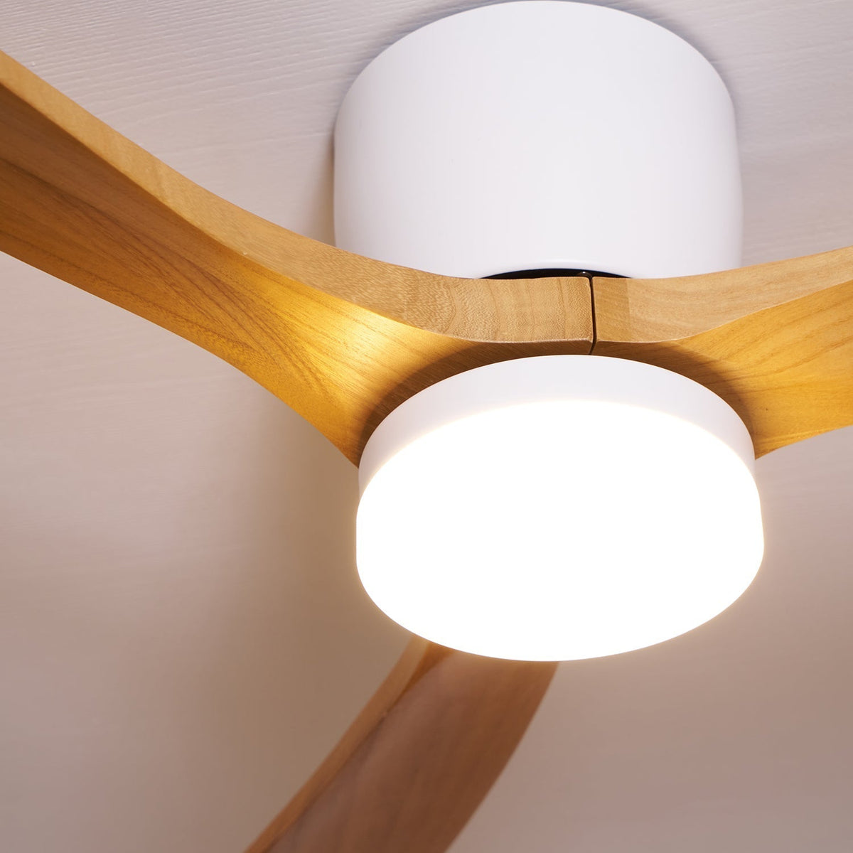 Ceiling Fan with Light Sycamore Wood Blades | Silent 6-Speed DC Motor | Flush Mount Nordic Design for Home Interiors
