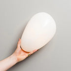 Oval Glass Wall Light