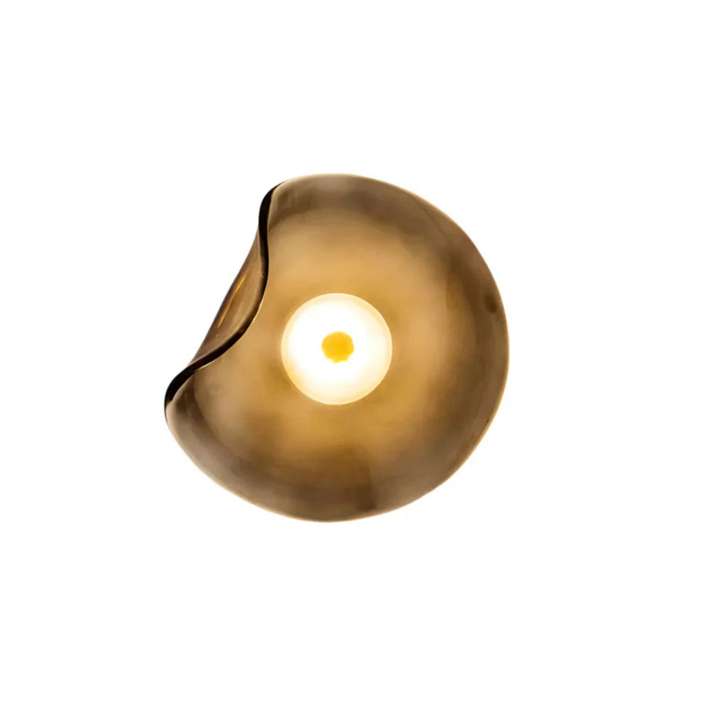 Organic-Shaped Glass LED Wall Light