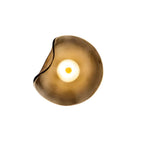 Organic-Shaped Glass LED Wall Light