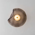 Organic-Shaped Glass LED Wall Light