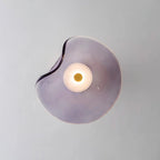 Organic-Shaped Glass LED Wall Light