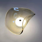 Organic-Shaped Glass LED Wall Light