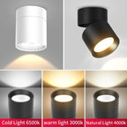 LED Surface Mounted Recessed Spotlight Tri-Color Ceiling Lamp