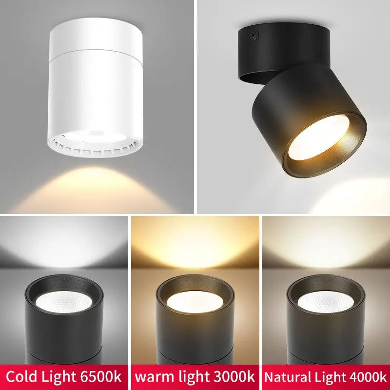 LED Surface Mounted Recessed Spotlight Tri-Color Ceiling Lamp