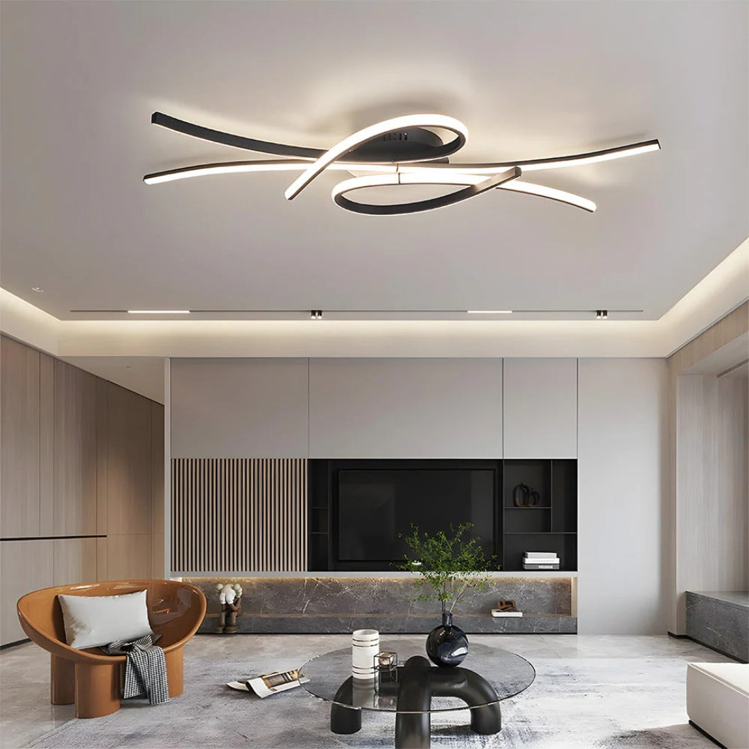 Contemporary LED Ceiling Light