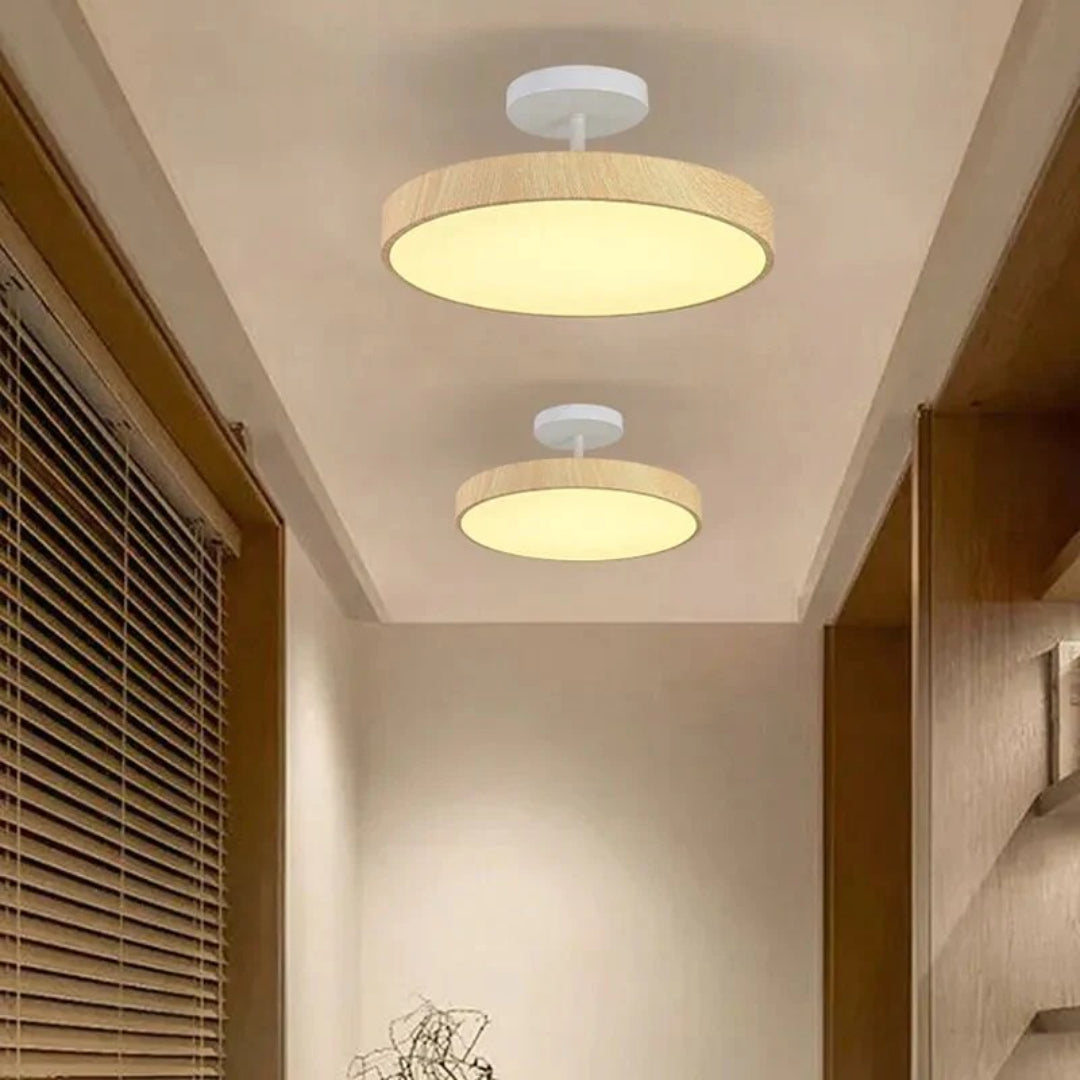 Contemporary Round Ceiling Light