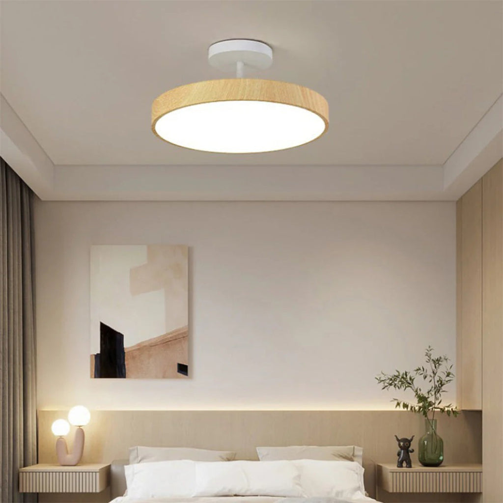 Contemporary Round Ceiling Light
