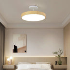 Contemporary Round Ceiling Light