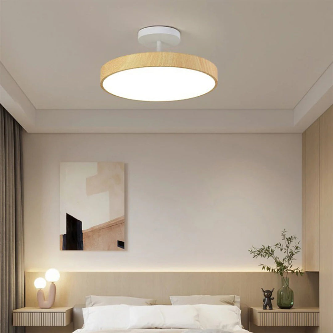 Contemporary Round Ceiling Light