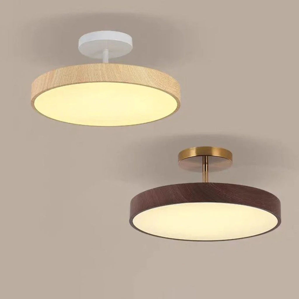 Contemporary Round Ceiling Light
