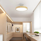 Contemporary Round Ceiling Light