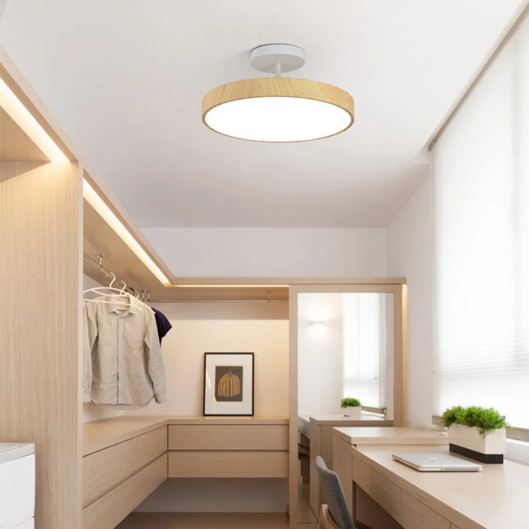 Contemporary Round Ceiling Light