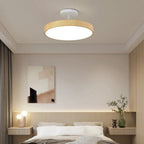 Contemporary Round Ceiling Light