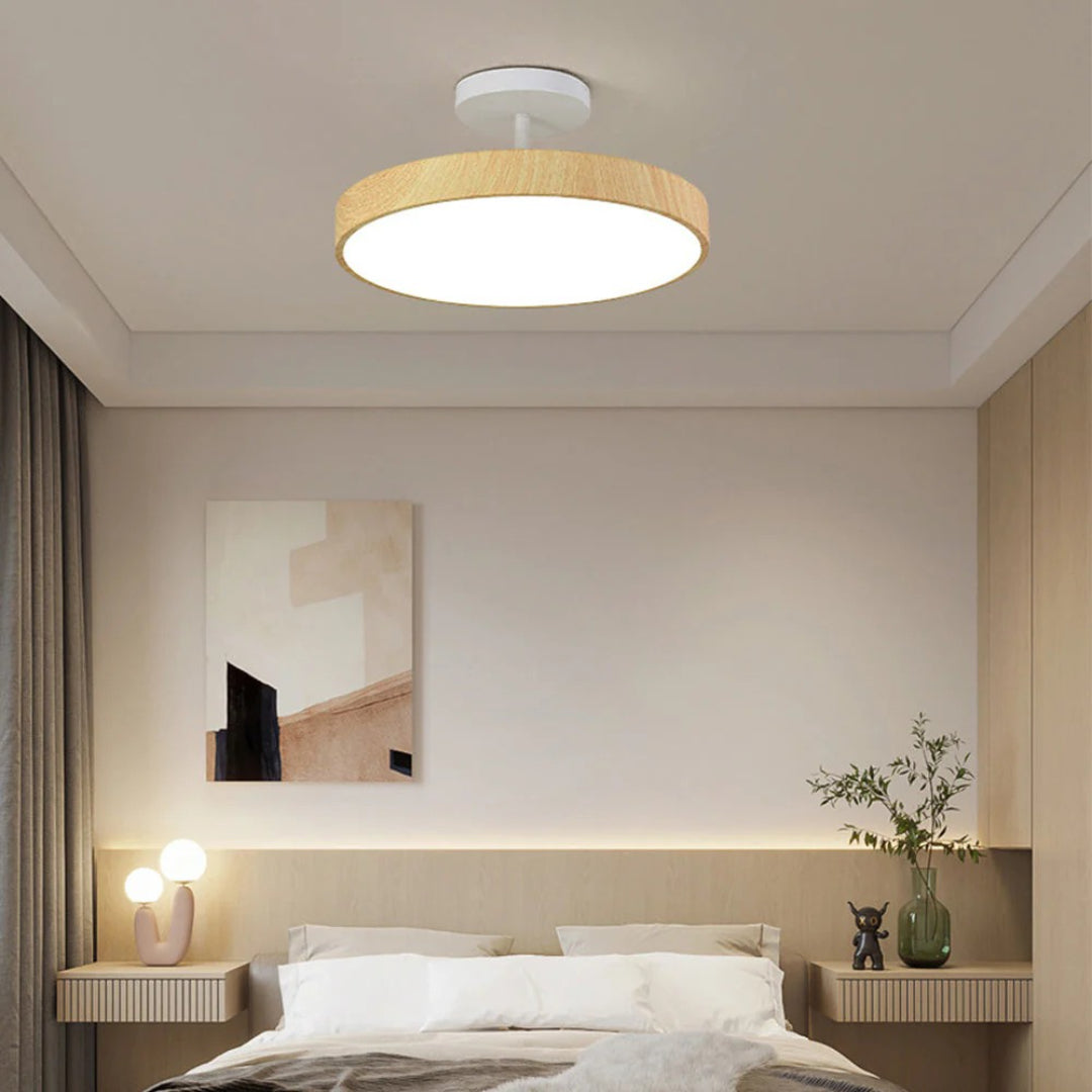 Contemporary Round Ceiling Light