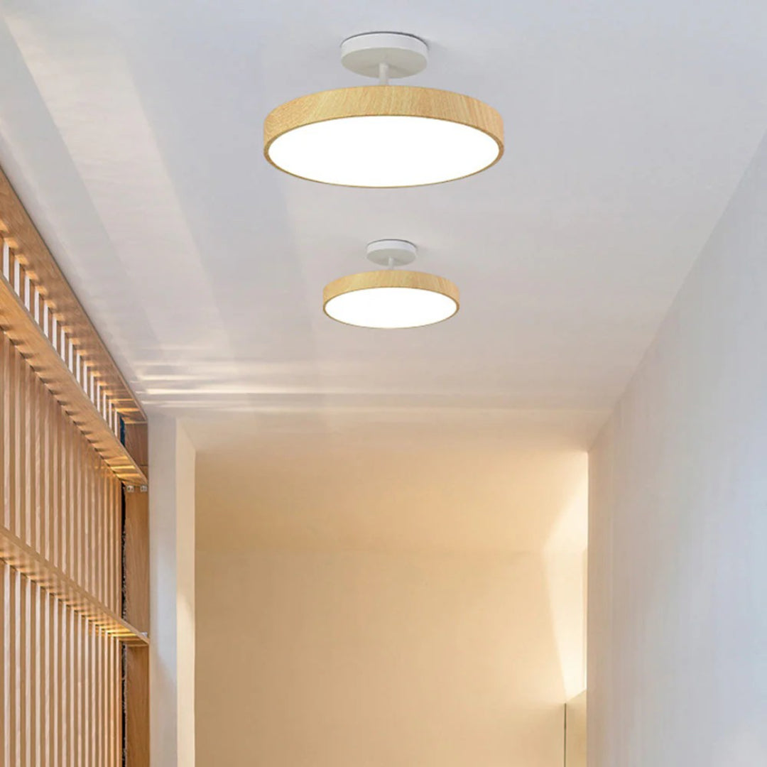 Contemporary Round Ceiling Light