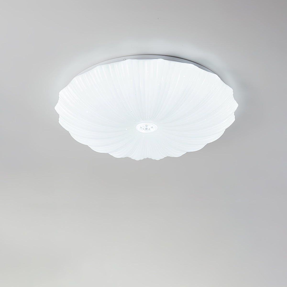 Round Flush Mount Ceiling Light Metal and Acrylic | Nordic Shell Art Design | Integrated LED Lighting for Indoor Use