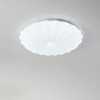 Round Flush Mount Ceiling Light Metal and Acrylic | Nordic Shell Art Design | Integrated LED Lighting for Indoor Use