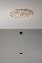 Pendant Light Metal and Acrylic Fixture | Integrated LED with Adjustable Cable | Sloped Ceiling Compatible Modern Indoor Design
