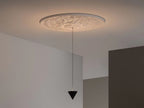 Pendant Light Metal and Acrylic Fixture | Integrated LED with Adjustable Cable | Sloped Ceiling Compatible Modern Indoor Design