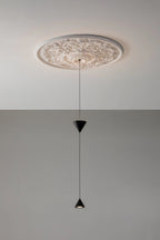 Pendant Light Metal and Acrylic Fixture | Integrated LED with Adjustable Cable | Sloped Ceiling Compatible Modern Indoor Design